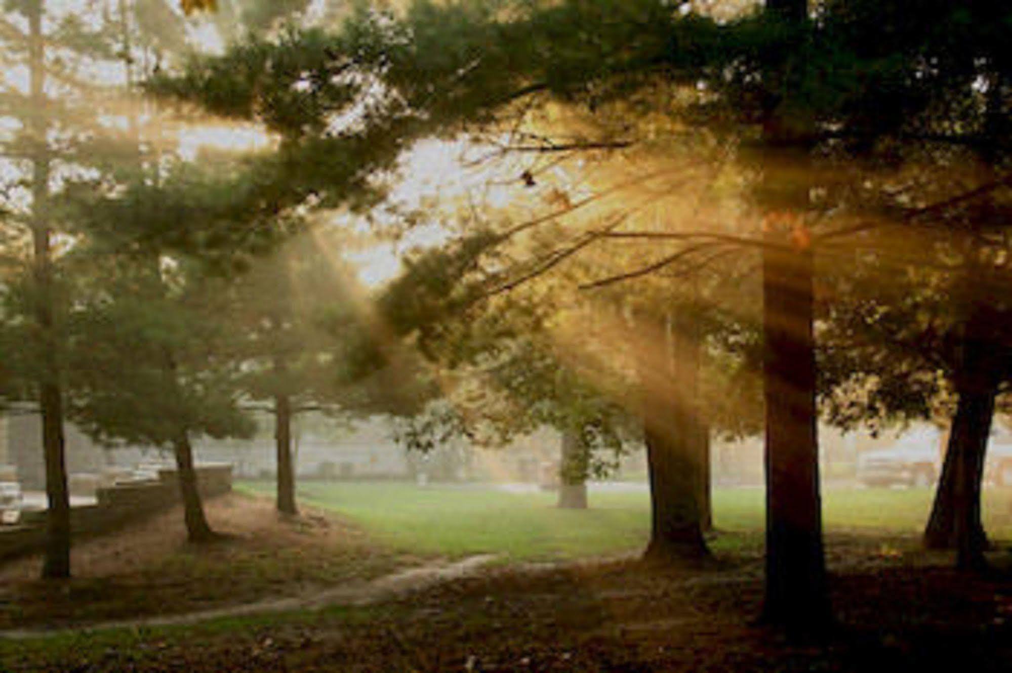 Starved Rock Lodge & Conference Center Utica المظهر الخارجي الصورة